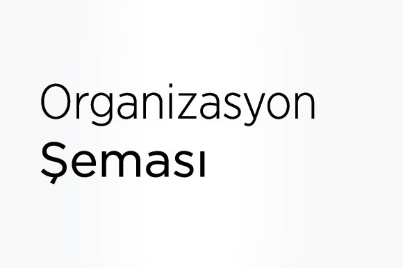 Organizasyon Şeması